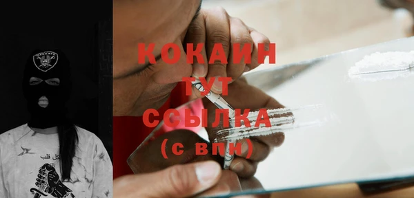 молекула духа Арсеньев