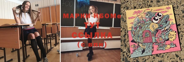 молекула духа Арсеньев