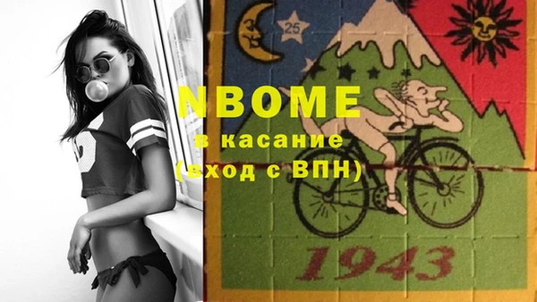 молекула духа Арсеньев